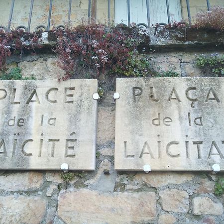 Au Pied du CHÂTEAU - Baignade, canoë, piste cyclable à proximité Castelnaud La Chapelle Exterior foto