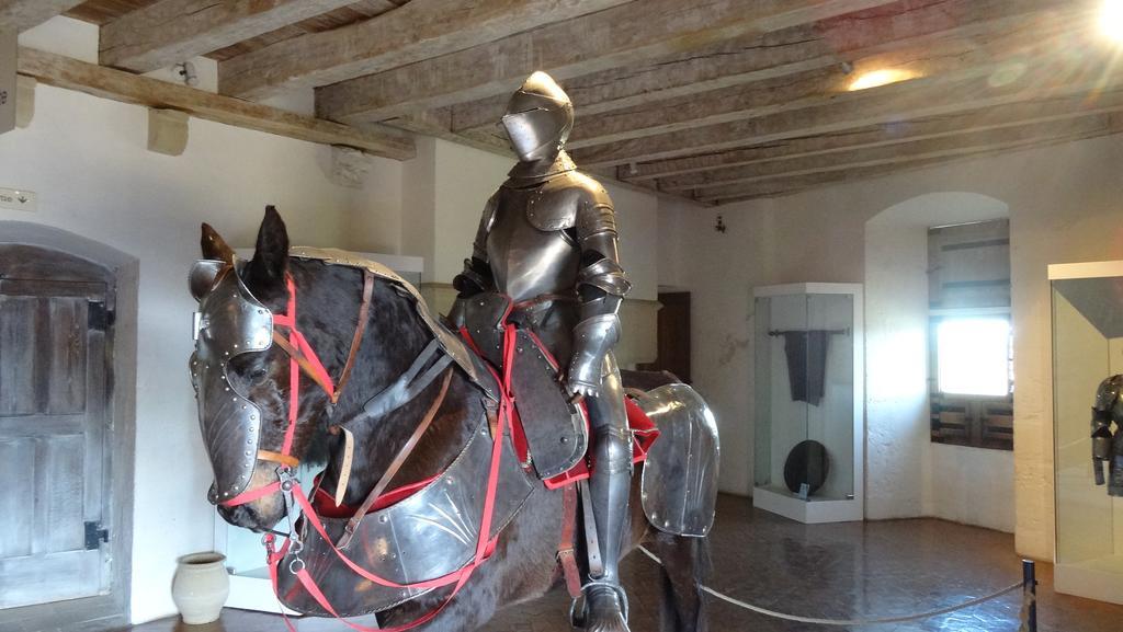 Au Pied du CHÂTEAU - Baignade, canoë, piste cyclable à proximité Castelnaud La Chapelle Exterior foto